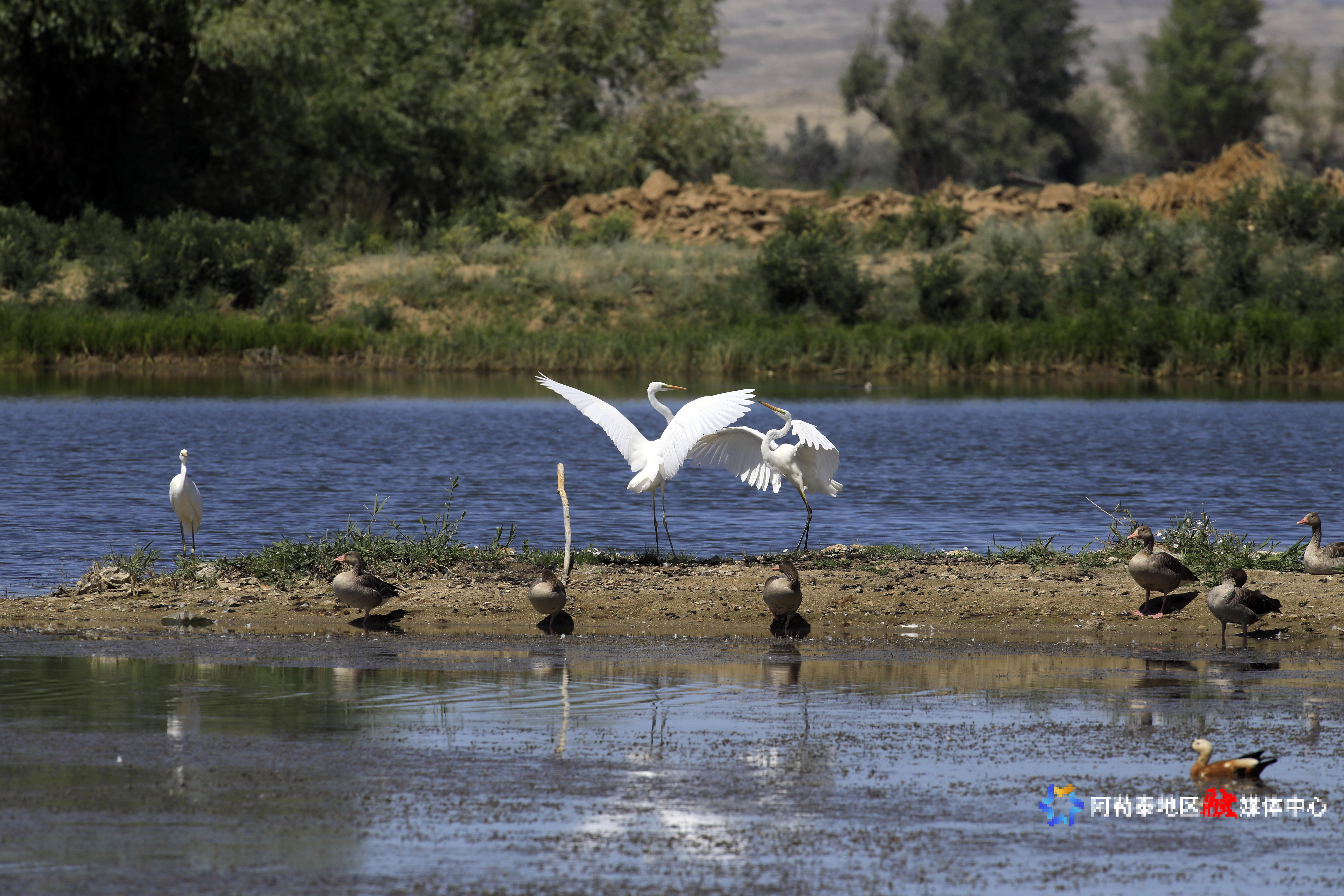 mmexport1752893500908