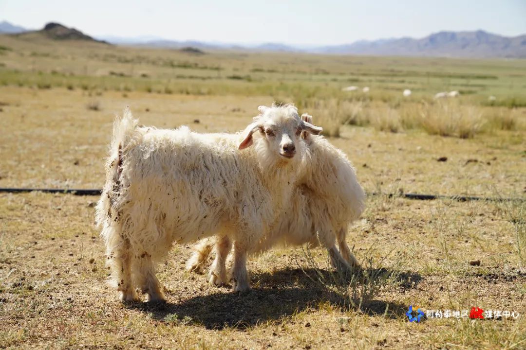 mmexport1751373445454