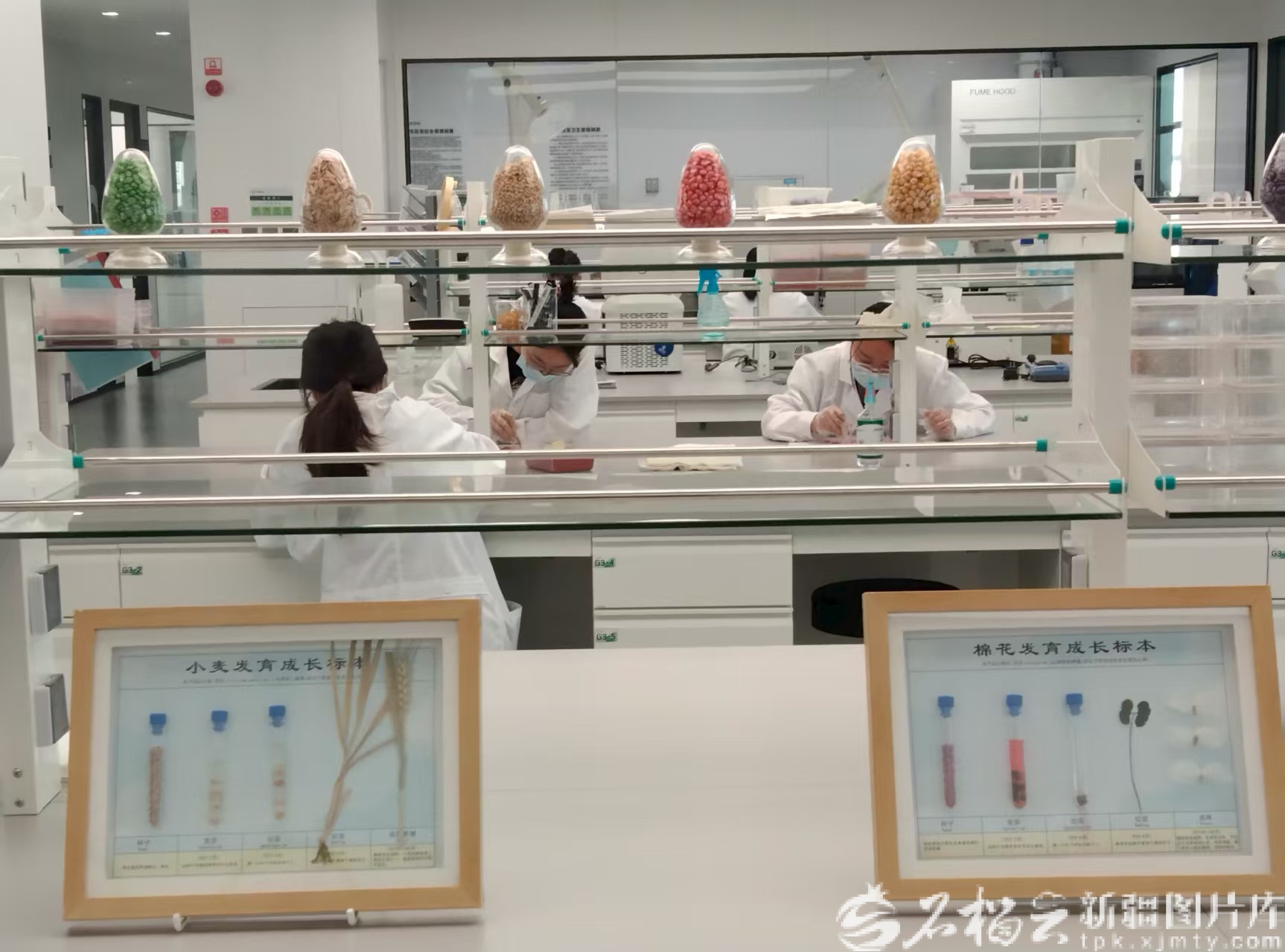 mmexport1757582627051